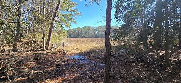 3.82 Acres of Residential Land for Sale in Machipongo, Virginia