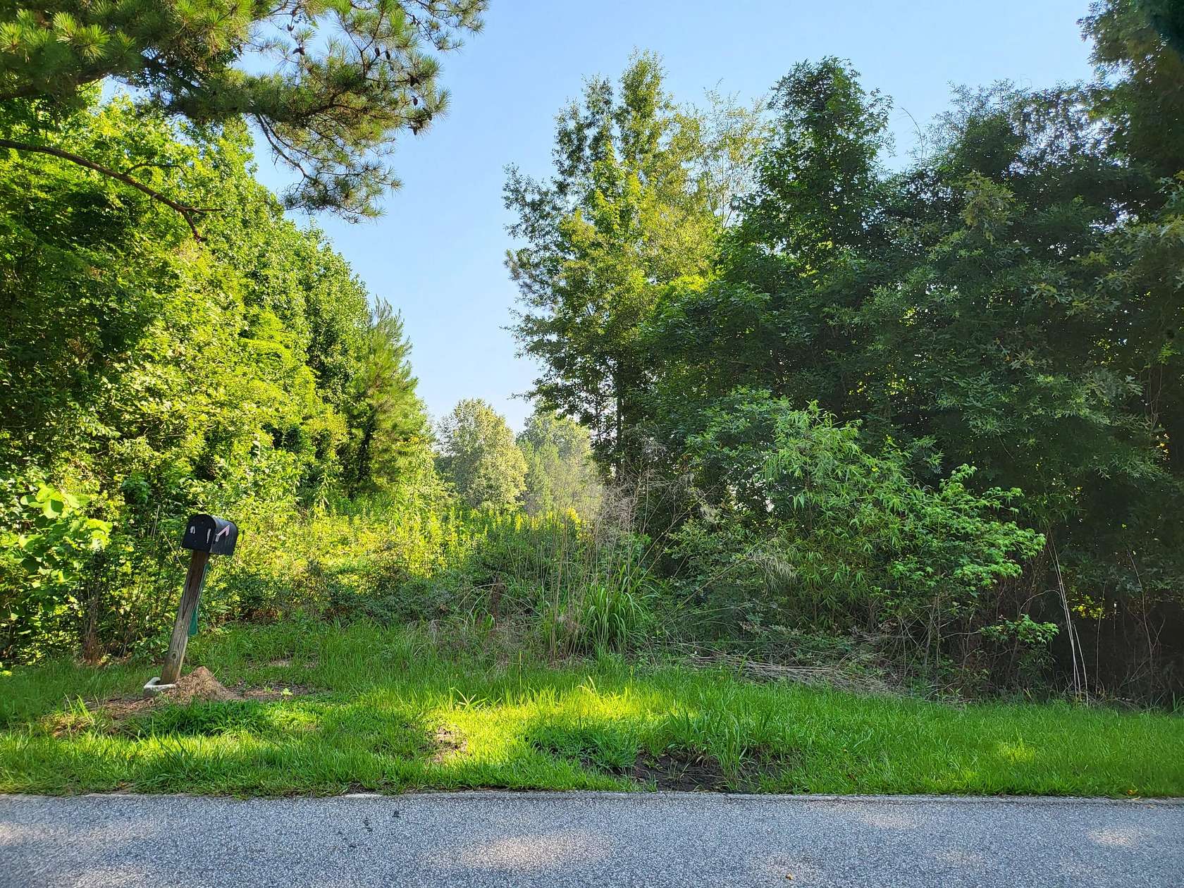 11.5 Acres of Land for Sale in Greeleyville, South Carolina