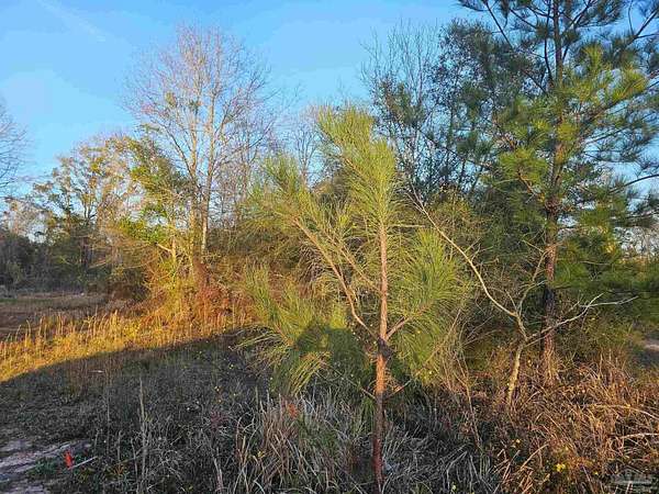6.42 Acres of Land for Sale in Cantonment, Florida