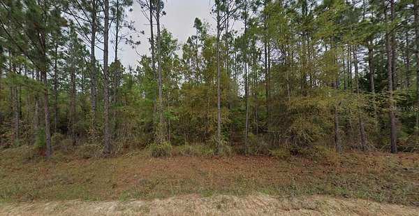 7.5 Acres of Residential Land for Sale in Marianna, Florida
