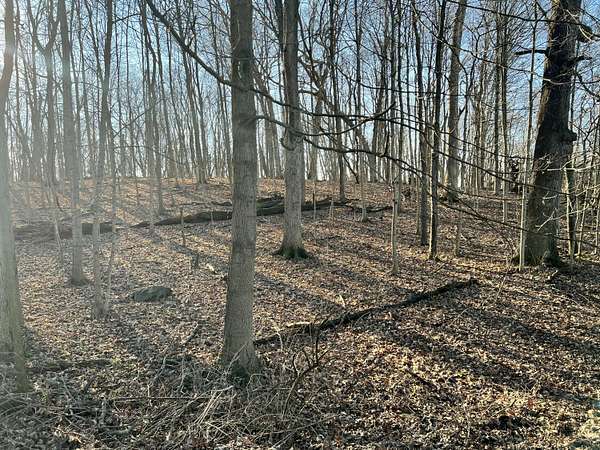 0.69 Acres of Residential Land for Sale in Springfield, Ohio