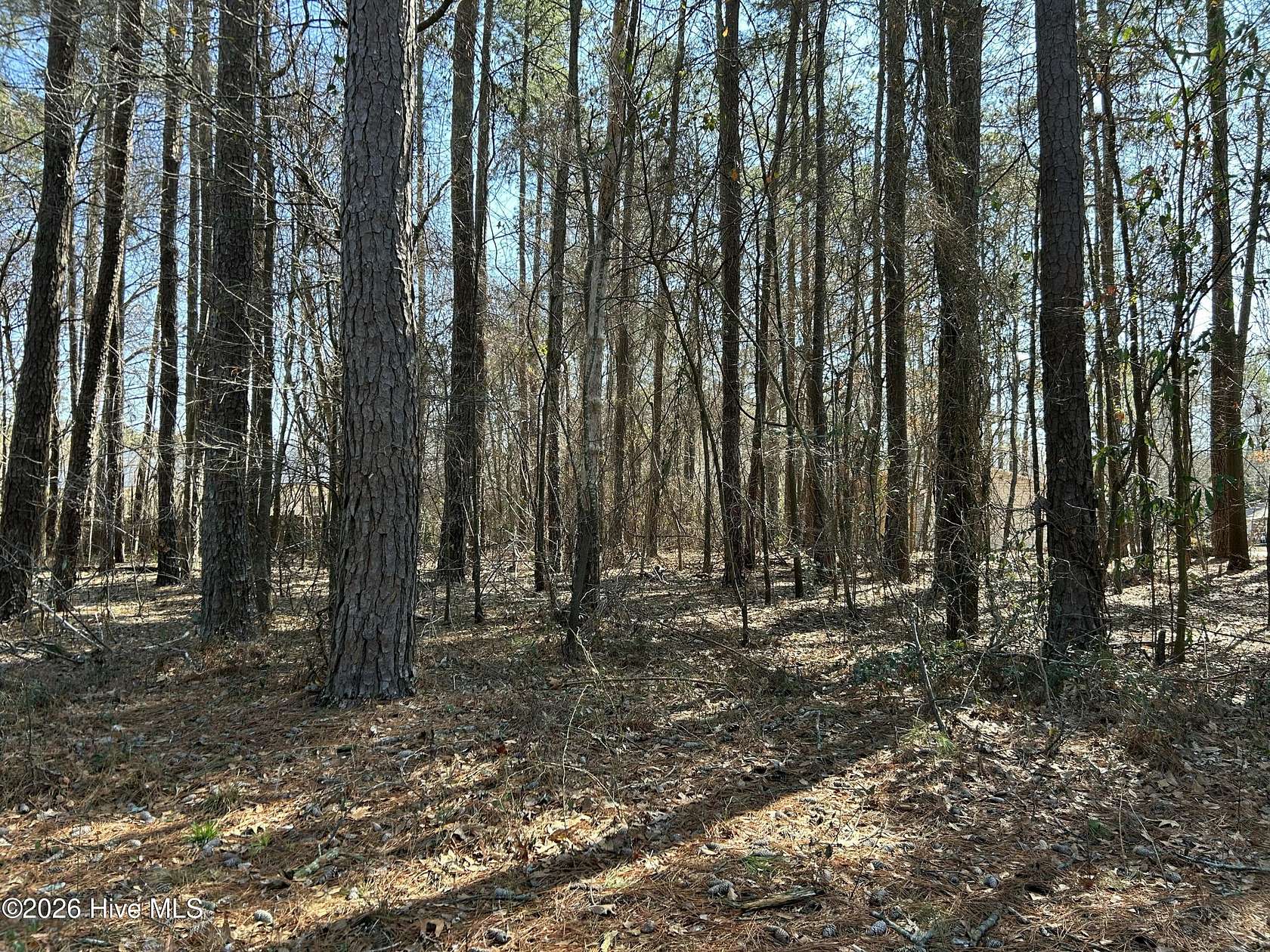 0.13 Acres of Residential Land for Sale in Edenton, North Carolina