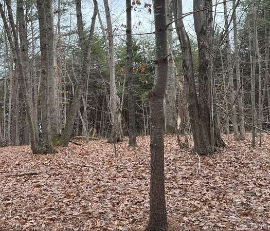 3 Acres of Residential Land for Sale in Concord, Virginia