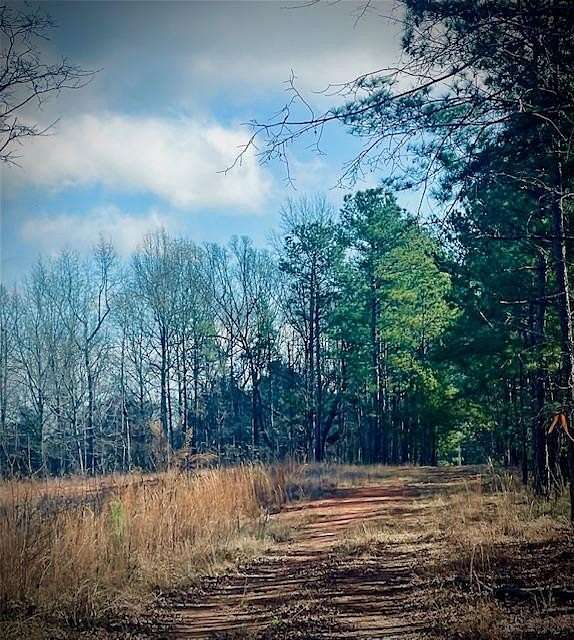 8.25 Acres of Mixed-Use Land for Sale in Milledgeville, Georgia