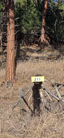 18.5 Acres of Land for Sale in Whitehall, Montana