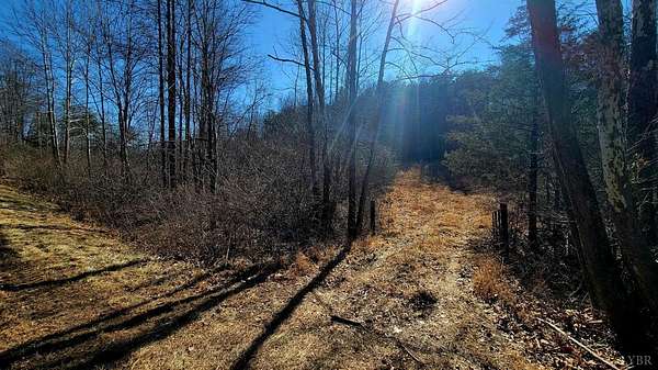 26.5 Acres of Land for Sale in Appomattox, Virginia