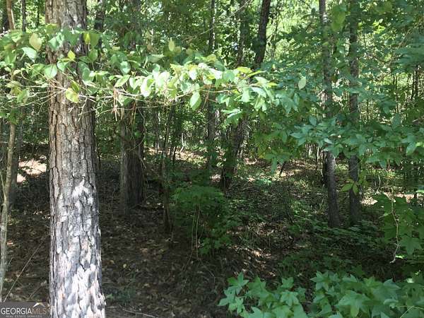 1 Acre of Land for Sale in Sparta, Georgia