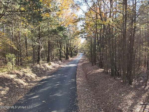 10 Acres of Land for Sale in Vaughan, Mississippi