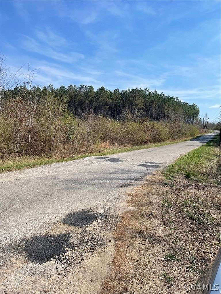 111 Acres of Land for Sale in Eldridge, Alabama