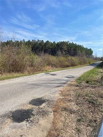 111 Acres of Land for Sale in Eldridge, Alabama