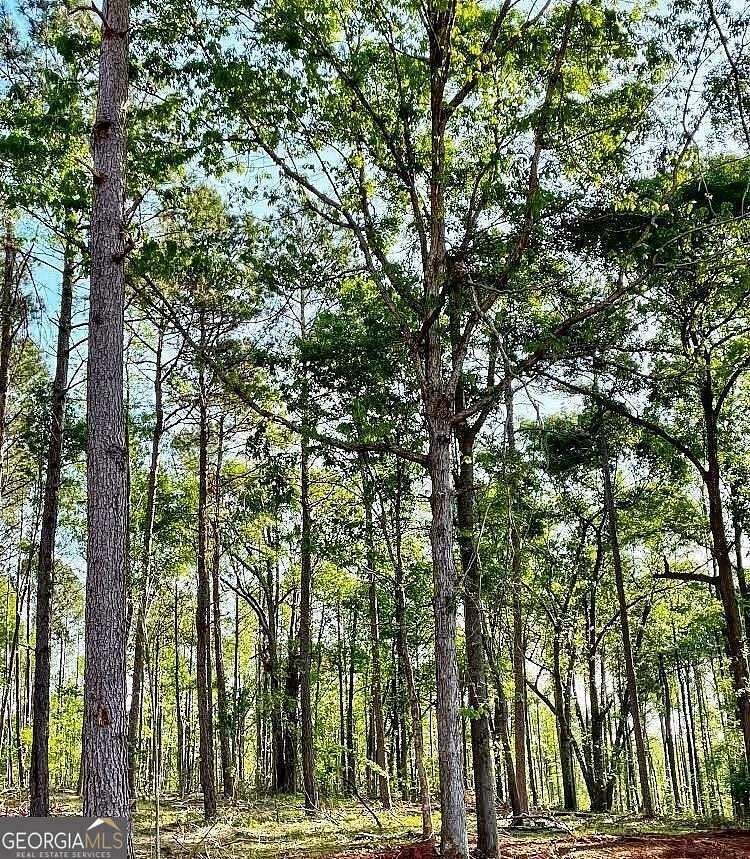 10 Acres of Residential Land for Sale in Nicholson, Georgia