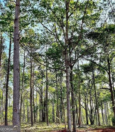 10 Acres of Residential Land for Sale in Nicholson, Georgia