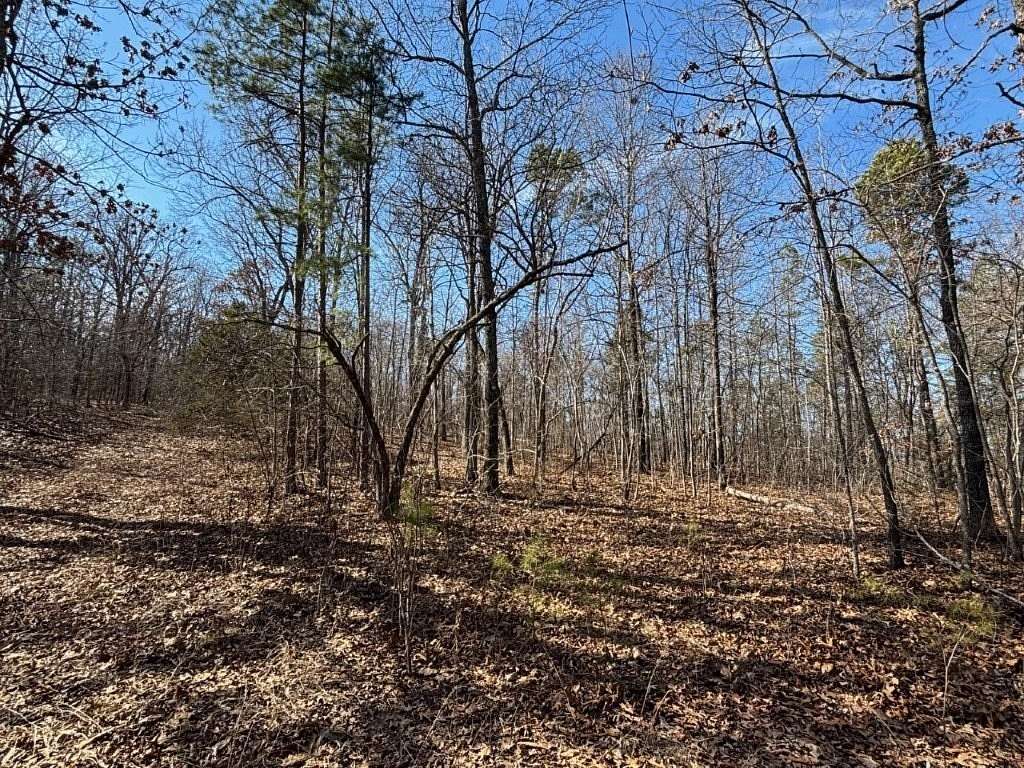 40 Acres of Recreational Land for Sale in St. Joe, Arkansas