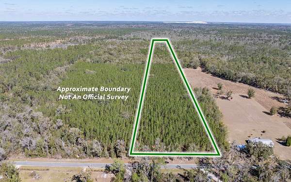 20 Acres of Land for Sale in Live Oak, Florida