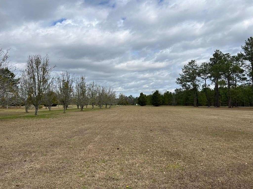 3.1 Acres of Residential Land for Sale in Pelham, Georgia