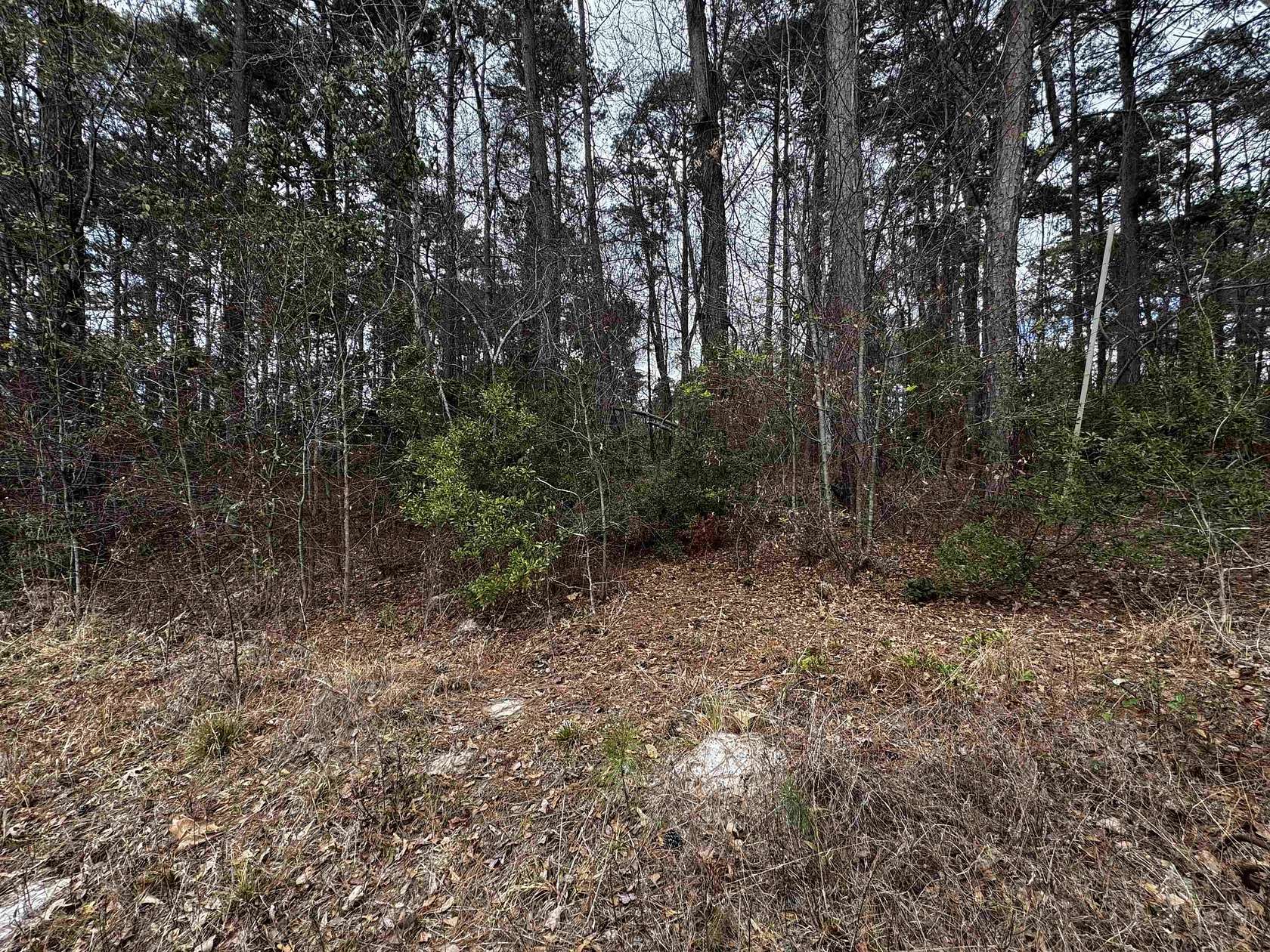 0.18 Acres of Residential Land for Sale in Harleton, Texas