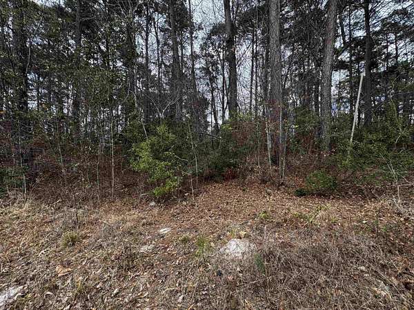 0.18 Acres of Residential Land for Sale in Harleton, Texas