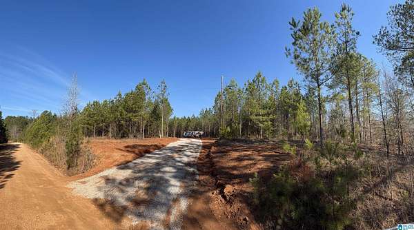 10.9 Acres of Recreational & Residential Land for Sale in Goodwater, Alabama
