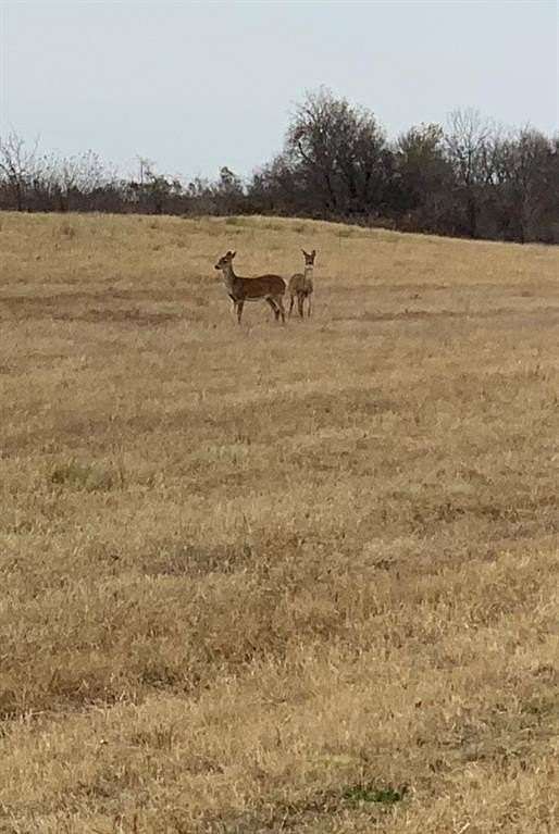 60.2 Acres of Agricultural & Residential Land for Sale in Wayne, Oklahoma