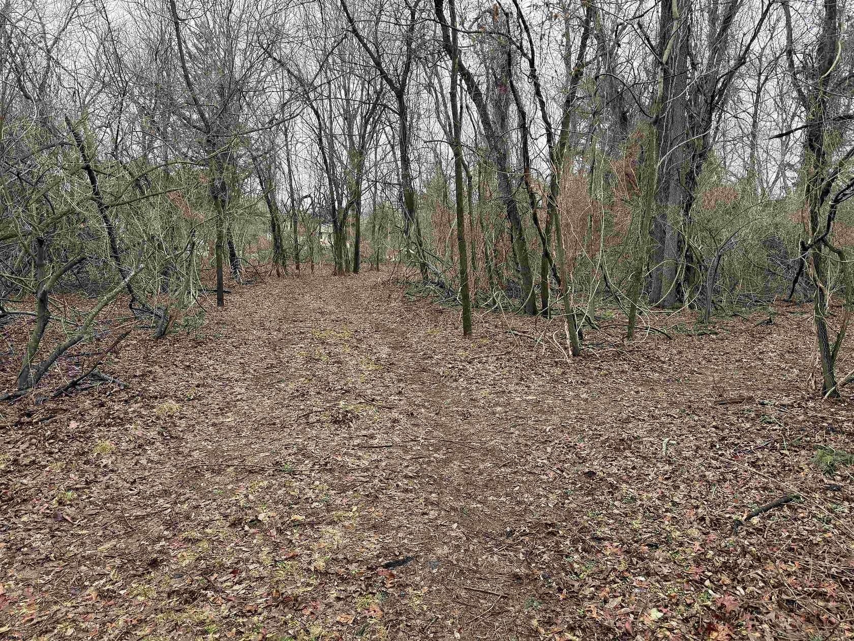 3.45 Acres of Land for Sale in Hammonton, New Jersey
