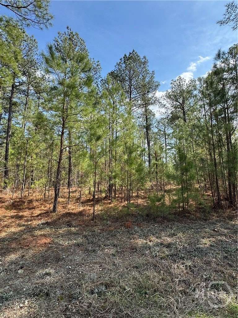 4.55 Acres of Residential Land for Sale in Tignall, Georgia