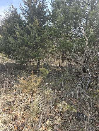 8 Acres of Residential Land for Sale in Aurora, Missouri