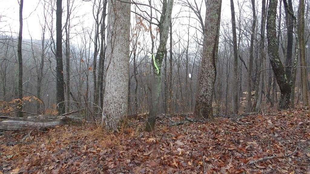 5 Acres of Residential Land for Sale in Smithville, Tennessee