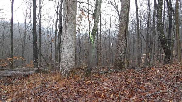 5 Acres of Residential Land for Sale in Smithville, Tennessee