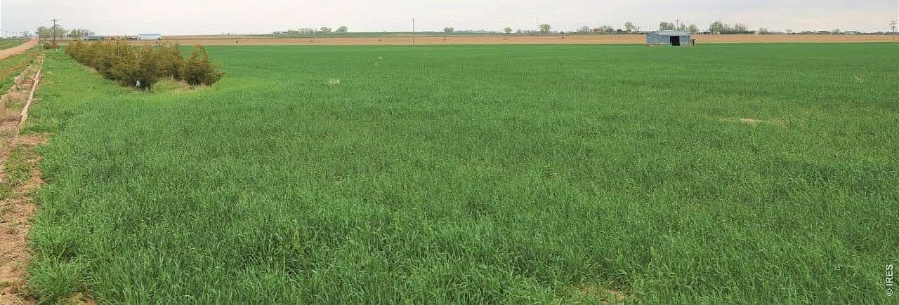 296 Acres of Land for Sale in Keenesburg, Colorado