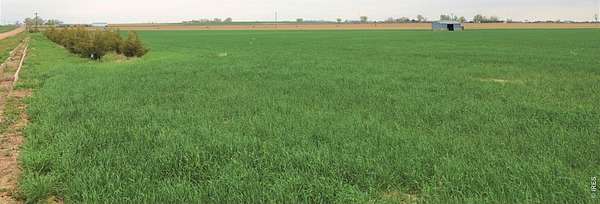 296 Acres of Land for Sale in Keenesburg, Colorado