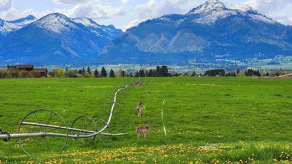 10.6 Acres of Land for Sale in Corvallis, Montana