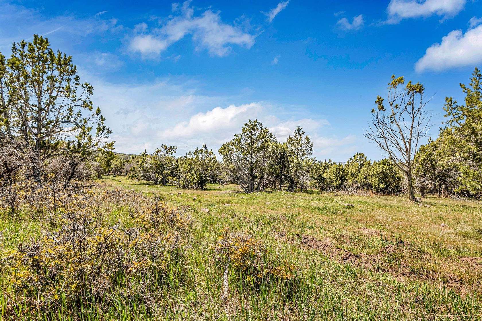 20.5 Acres of Land for Sale in Mesa, Colorado