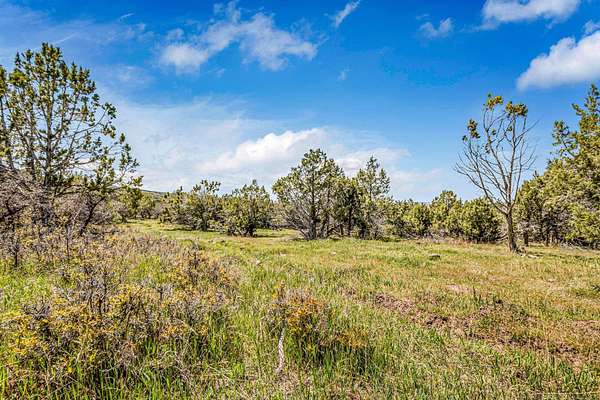 20.5 Acres of Land for Sale in Mesa, Colorado