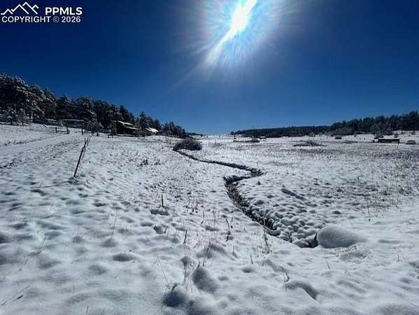 0.5 Acres of Residential Land for Sale in Lake George, Colorado