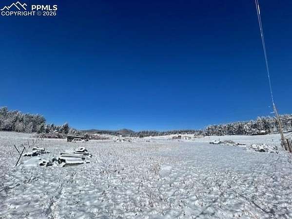 0.5 Acres of Residential Land for Sale in Lake George, Colorado