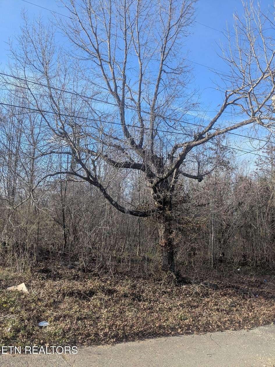 0.25 Acres of Residential Land for Sale in Knoxville, Tennessee