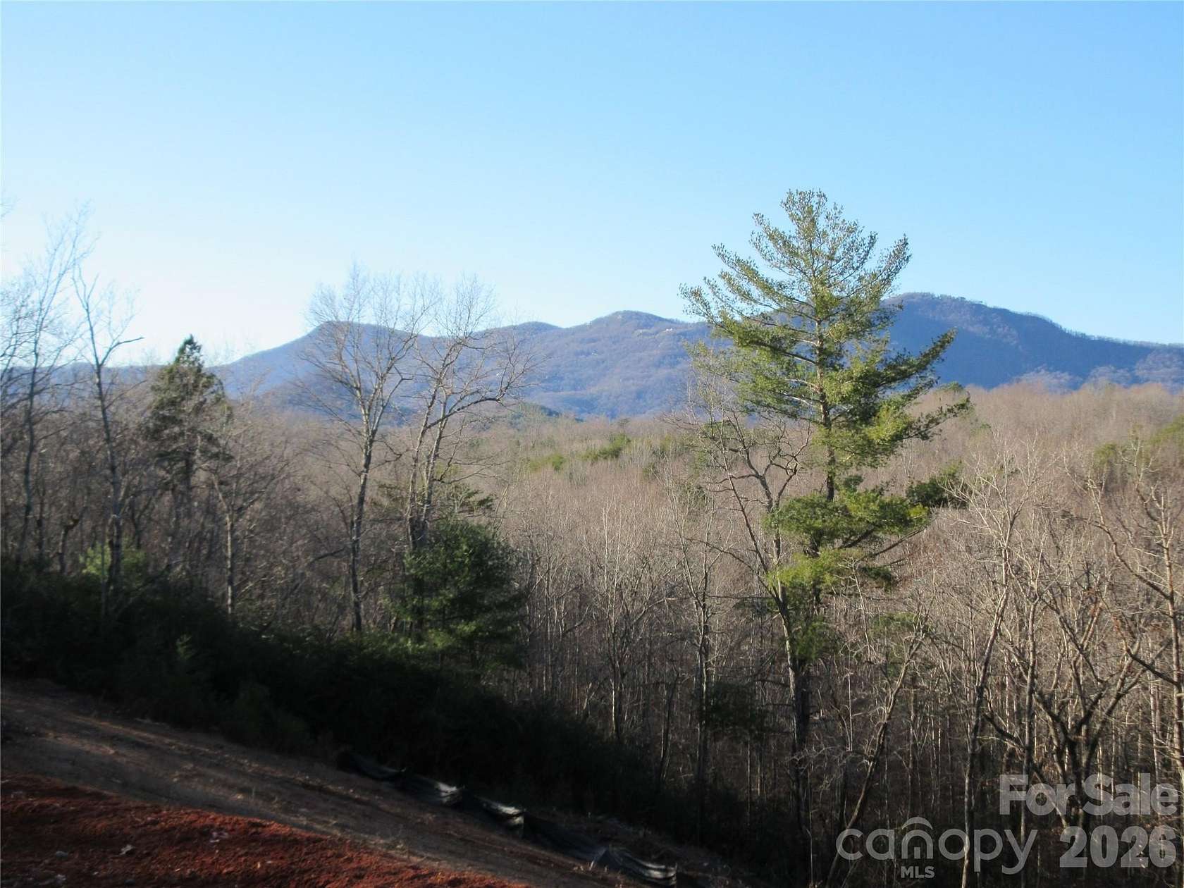 8 Acres of Residential Land for Sale in Columbus, North Carolina