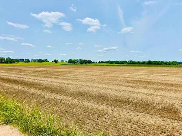 11.7 Acres of Land for Sale in Buckholts, Texas