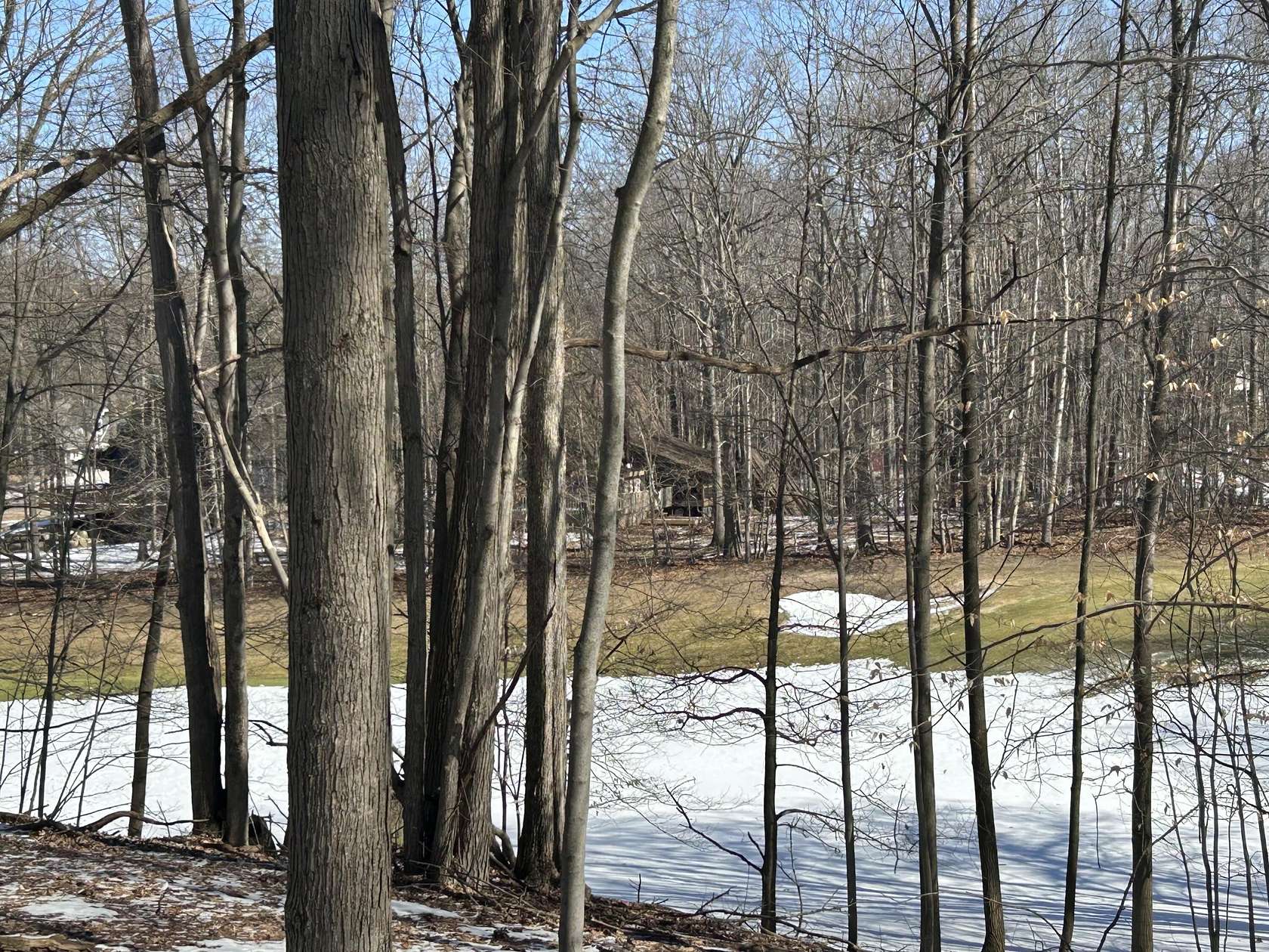 0.3 Acres of Residential Land for Sale in Canadian Lakes, Michigan