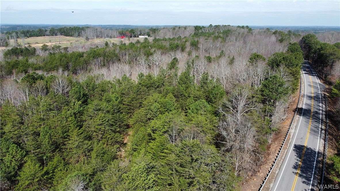 24 Acres of Land for Sale in Nauvoo, Alabama
