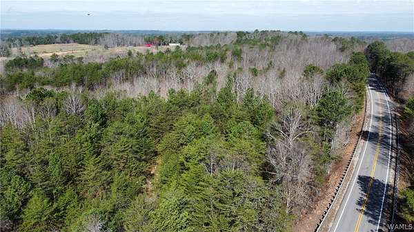 24 Acres of Land for Sale in Nauvoo, Alabama