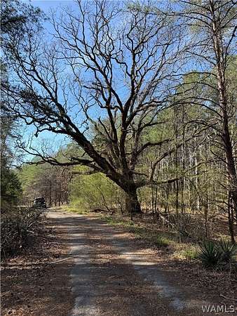 31 Acres of Land for Sale in Nauvoo, Alabama