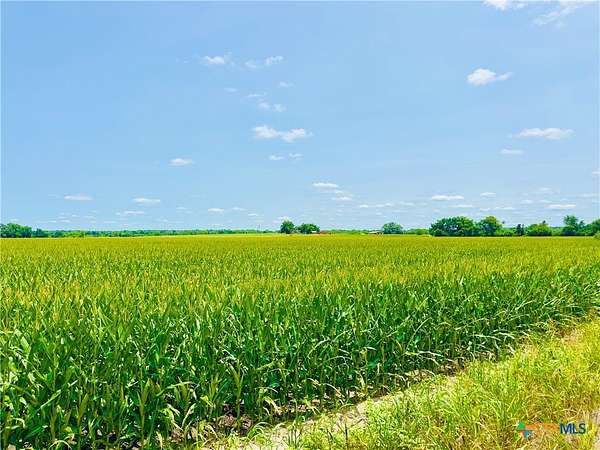 15.3 Acres of Agricultural Land for Sale in Buckholts, Texas