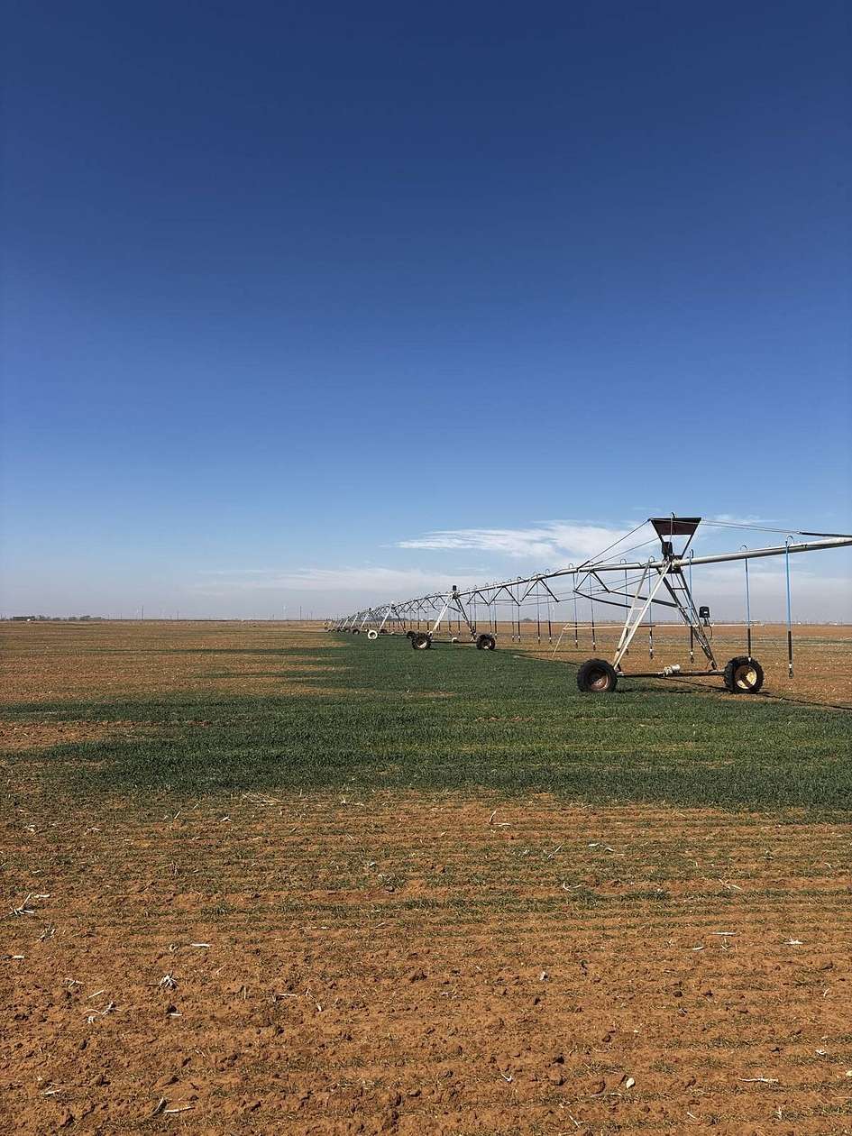 160 Acres of Agricultural Land for Sale in Muleshoe, Texas