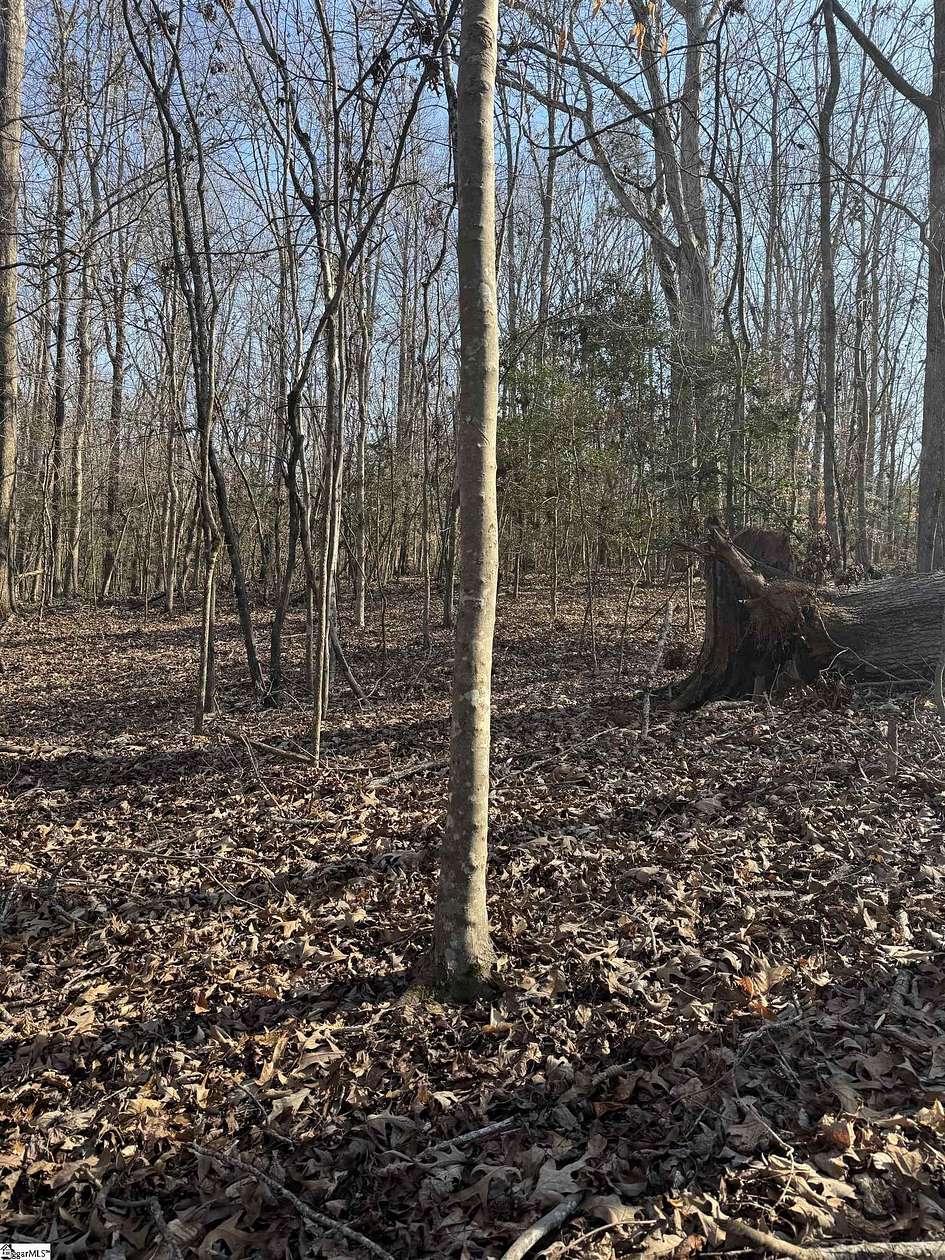 31 Acres of Land for Sale in Anderson, South Carolina