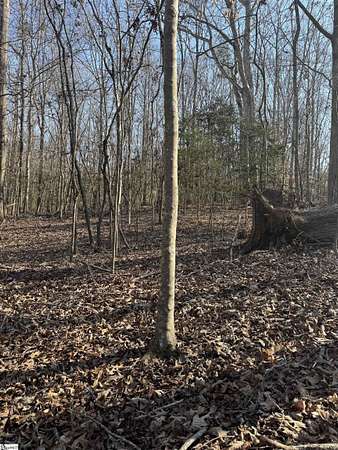 31 Acres of Land for Sale in Anderson, South Carolina