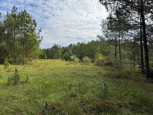 88 Acres of Recreational & Residential Land for Sale in Crystal Springs, Mississippi