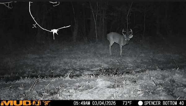 160 Acres of Recreational Land for Sale in Bogue Chitto, Mississippi