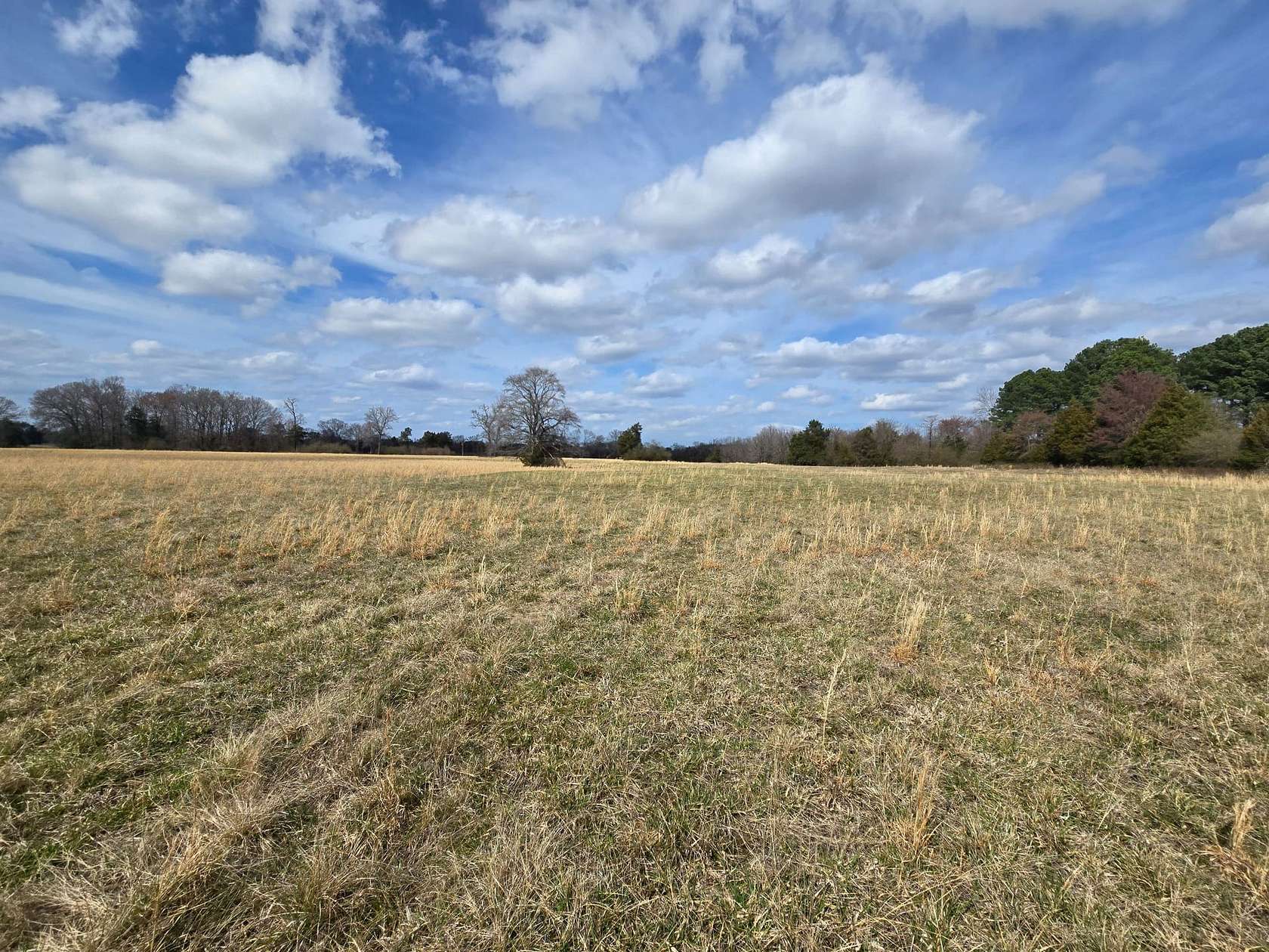 200 Acres of Land for Sale in Conway, Arkansas