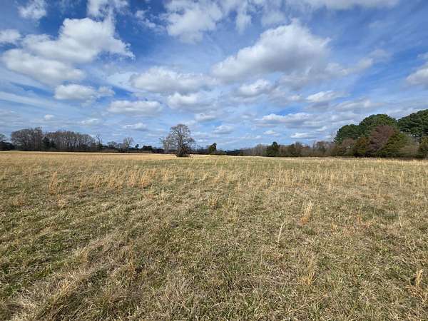 200 Acres of Land for Sale in Conway, Arkansas